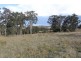 Lot 2 Wellington Lookout Road, Tenterfield NSW 2372