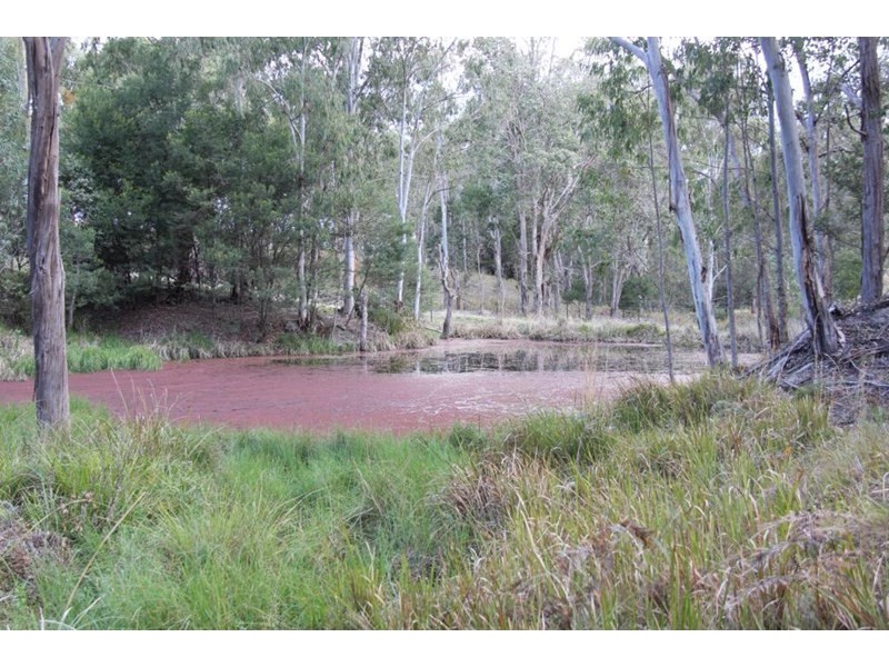 Lot 2 Wellington Lookout Road, Tenterfield NSW 2372