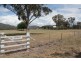 2461 Bruxner Way, Tenterfield NSW 2372