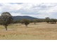 2461 Bruxner Way, Tenterfield NSW 2372