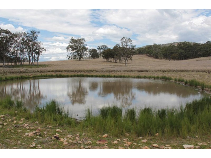 2461 Bruxner Way, Tenterfield NSW 2372