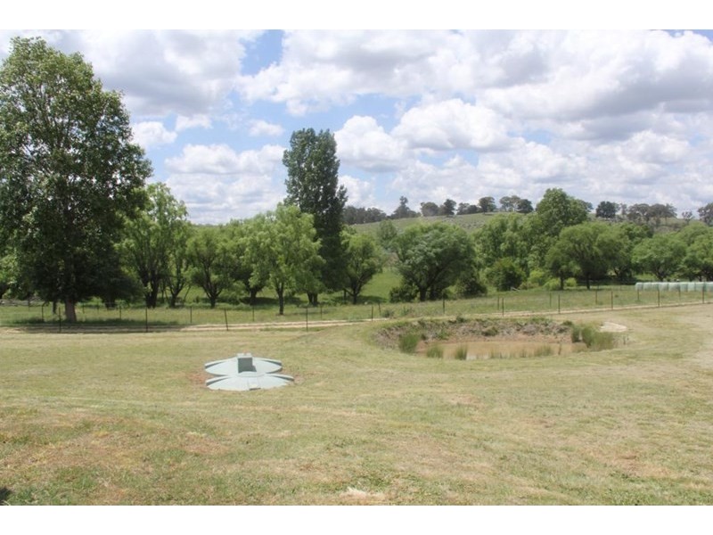 308A Mount Lindesay Road, Tenterfield NSW 2372