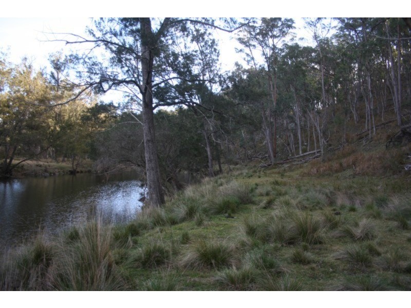 Tenterfield NSW 2372