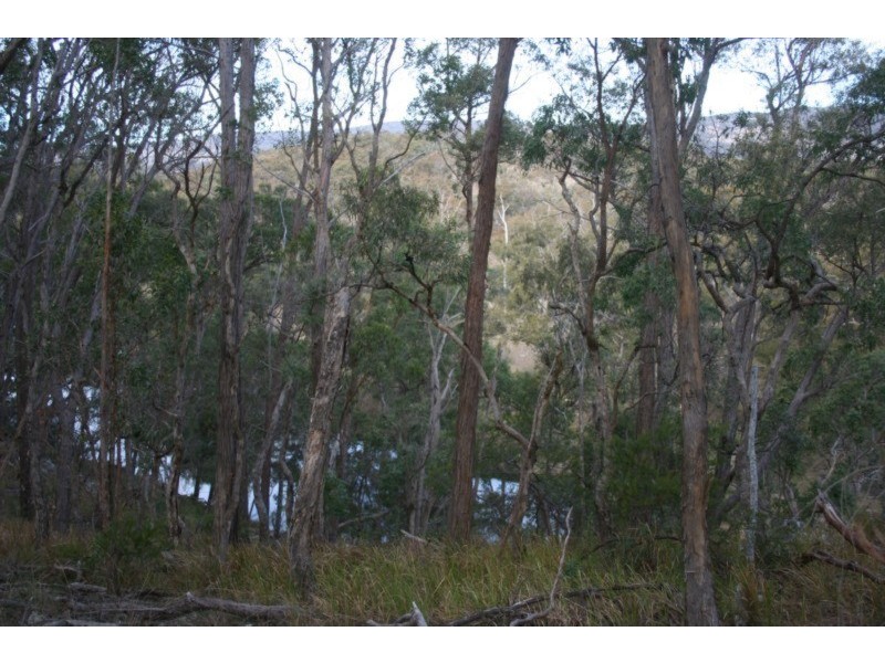 Tenterfield NSW 2372