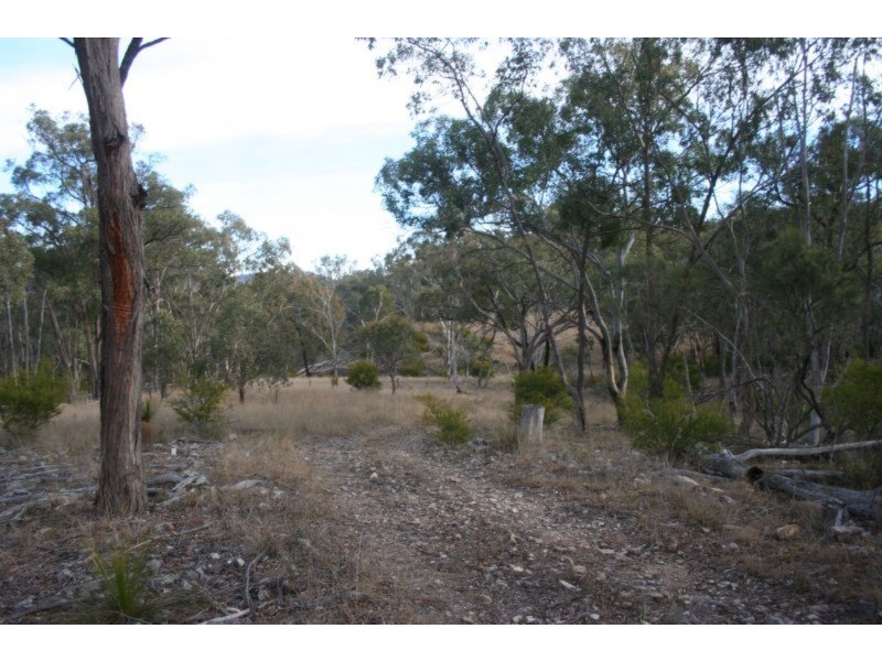 Tenterfield NSW 2372