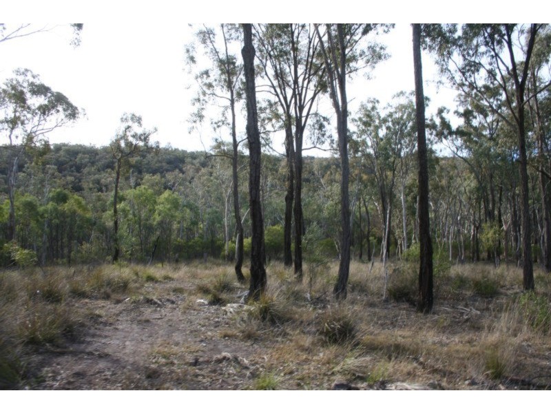 Tenterfield NSW 2372