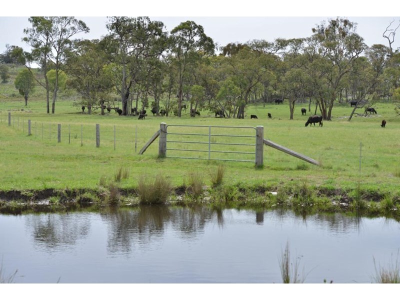 711 Bruxner Way, Tenterfield NSW 2372