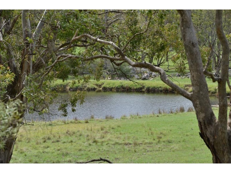 711 Bruxner Way, Tenterfield NSW 2372