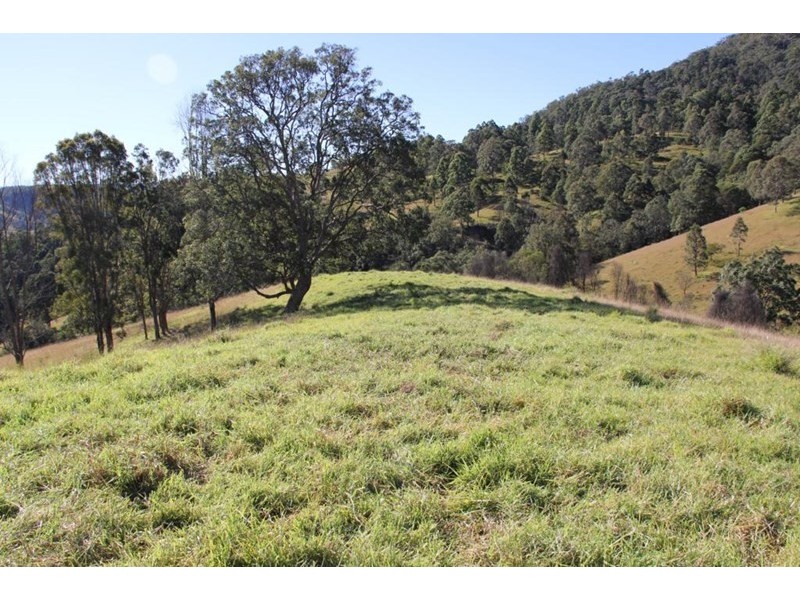 10201 Bruxner Highway, Tenterfield NSW 2372