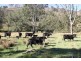 10201 Bruxner Highway, Tenterfield NSW 2372