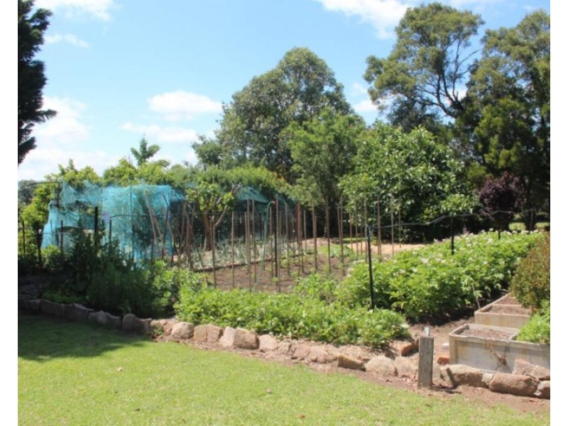 480-490 ROUSE Street, Tenterfield NSW 2372