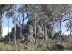 Lot 2 Boonoo Boonoo Falls Road, Tenterfield NSW 2372