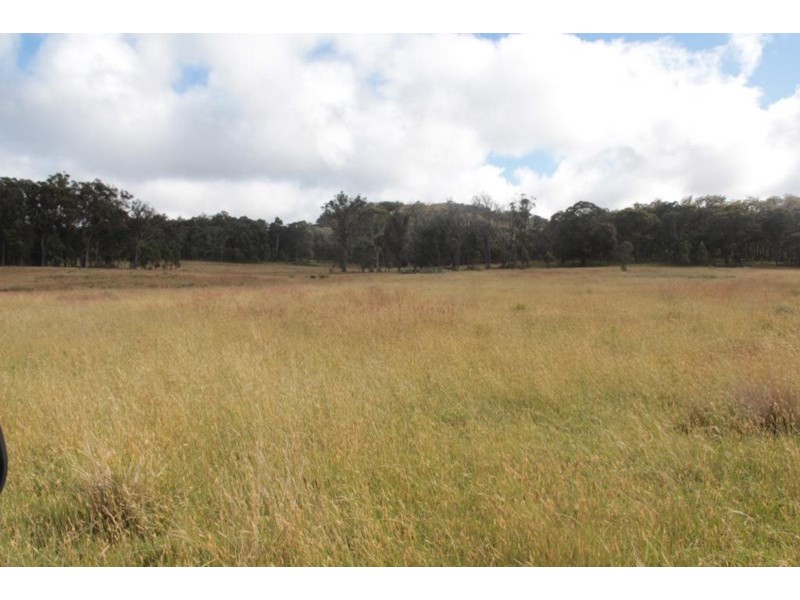 Lot 2 Boonoo Boonoo Falls Road, Tenterfield NSW 2372