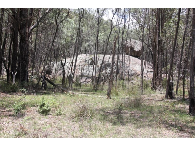 307 Brushabers Road, Tenterfield NSW 2372