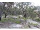 307 Brushabers Road, Tenterfield NSW 2372