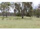 Lot 723 Brushabers Road, Tenterfield NSW 2372