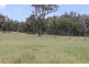 Lot 723 Brushabers Road, Tenterfield NSW 2372