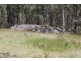 Lot 723 Brushabers Road, Tenterfield NSW 2372