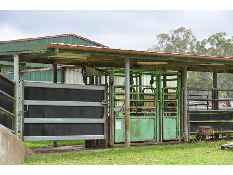 306 Geyers Road, Tenterfield NSW 2372