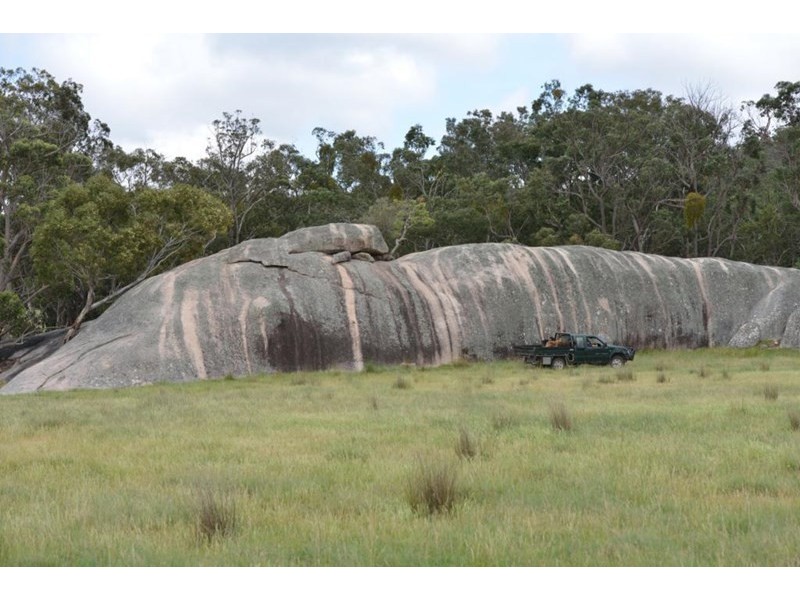 306 Geyers Road, Tenterfield NSW 2372