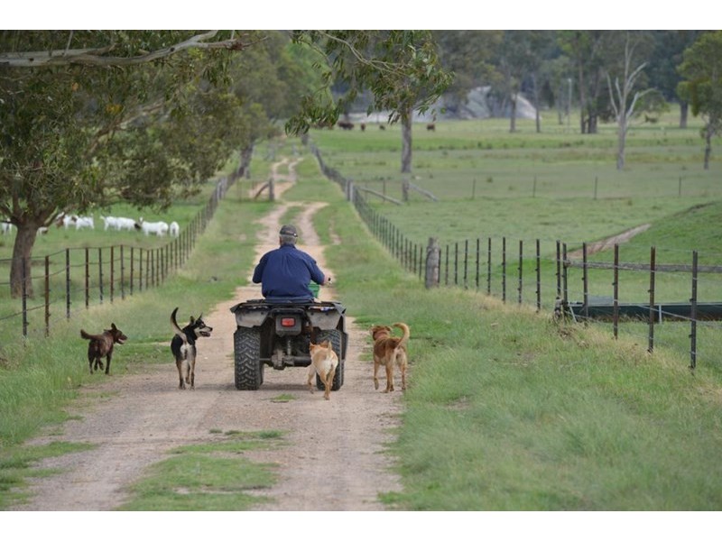 306 Geyers Road, Tenterfield NSW 2372