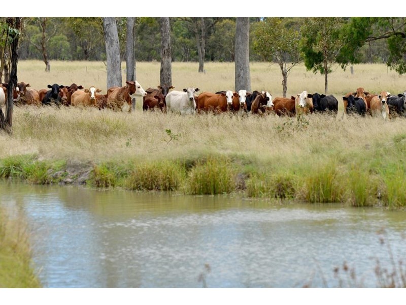 398 Brushabers Road, Tenterfield NSW 2372