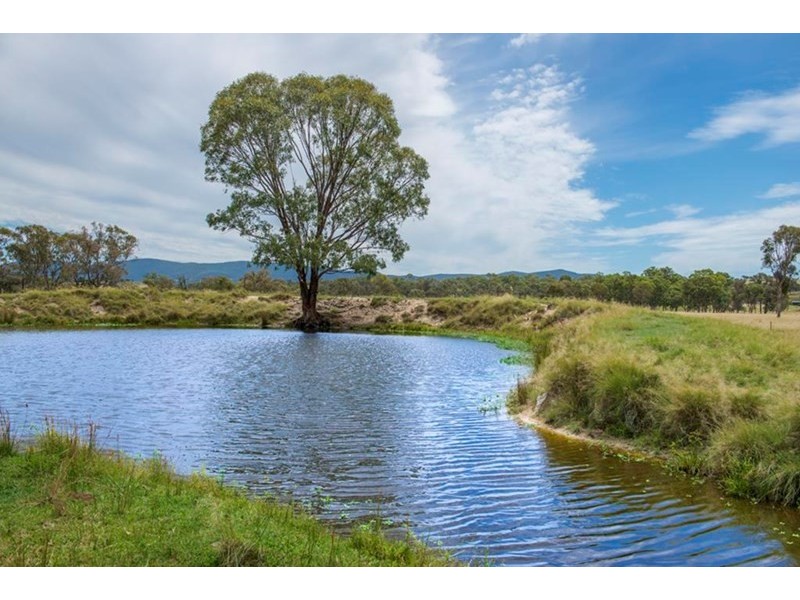 398 Brushabers Road, Tenterfield NSW 2372