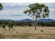 398 Brushabers Road, Tenterfield NSW 2372