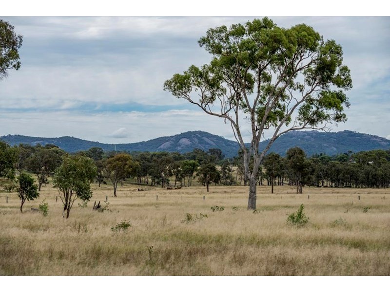 398 Brushabers Road, Tenterfield NSW 2372