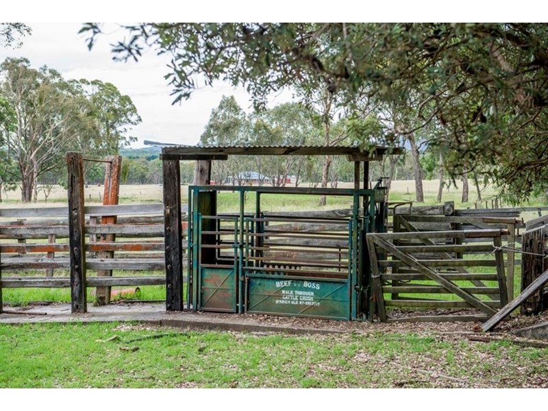 398 Brushabers Road, Tenterfield NSW 2372