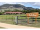 155 Mt Mackenzie Road, Tenterfield NSW 2372
