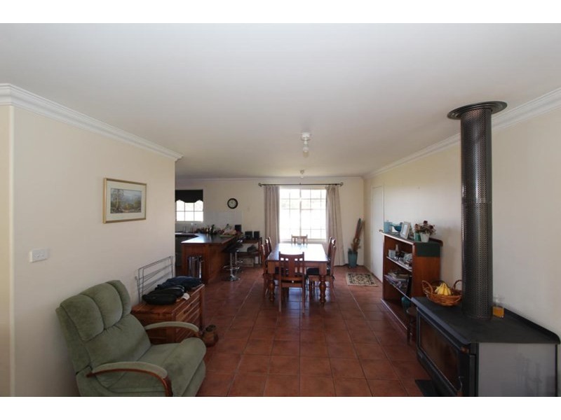 155 Mt Mackenzie Road, Tenterfield NSW 2372
