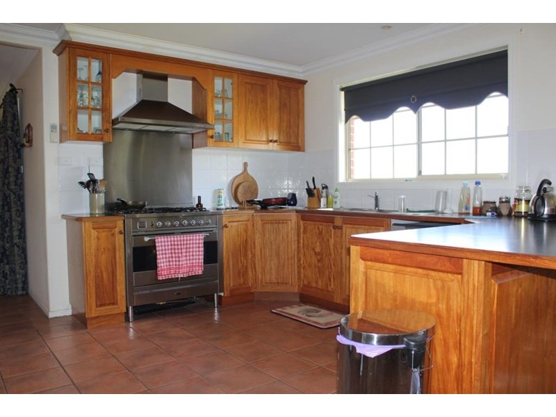 155 Mt Mackenzie Road, Tenterfield NSW 2372