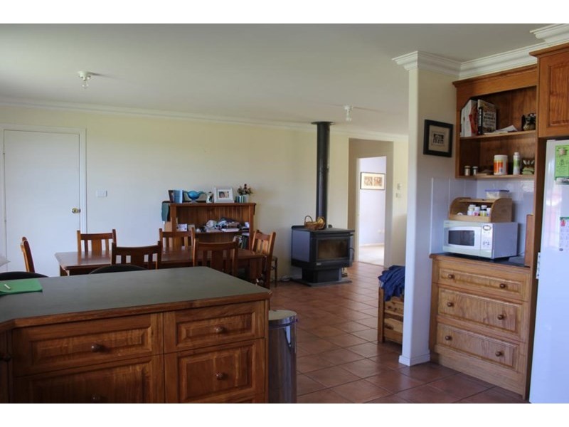 155 Mt Mackenzie Road, Tenterfield NSW 2372