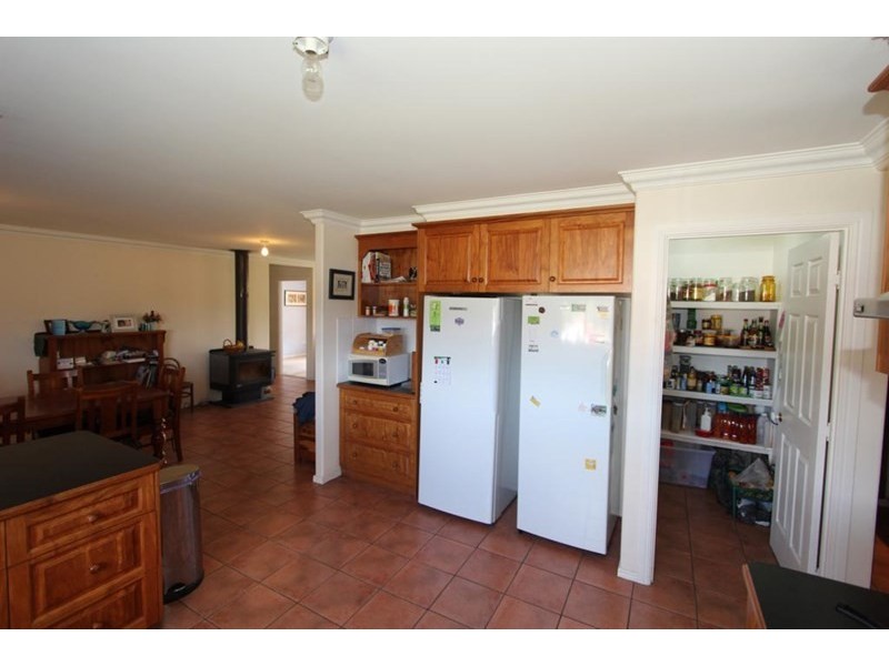 155 Mt Mackenzie Road, Tenterfield NSW 2372