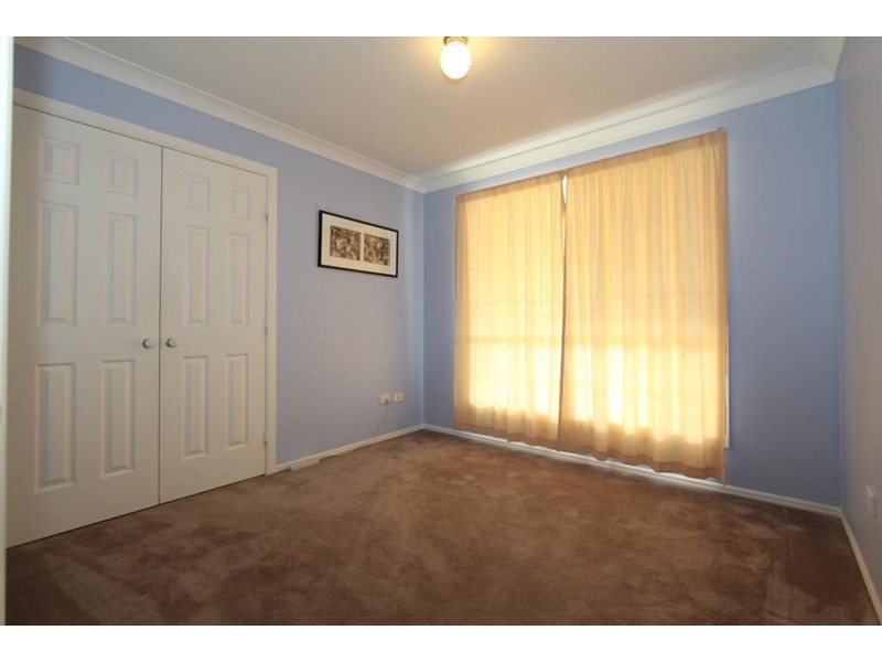 155 Mt Mackenzie Road, Tenterfield NSW 2372