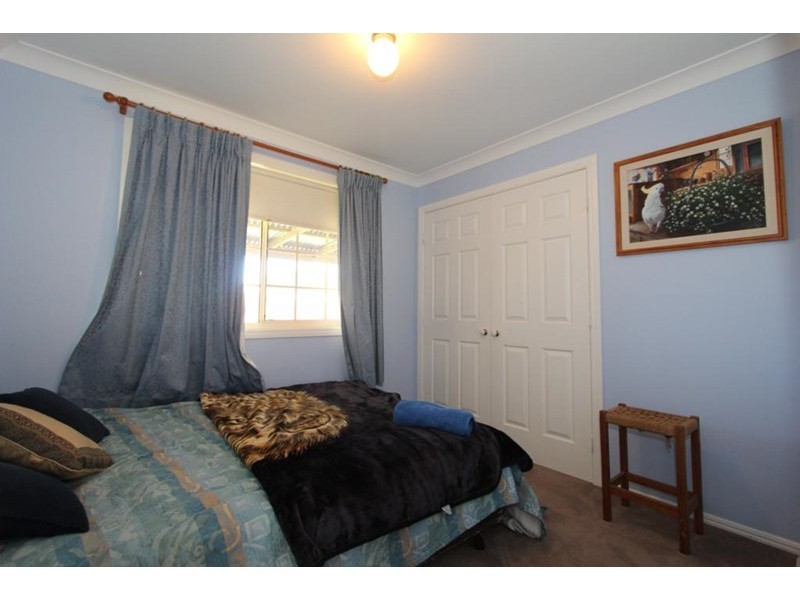 155 Mt Mackenzie Road, Tenterfield NSW 2372