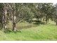 11881 Mt Lindesay Road, Old Koreelah NSW 2476