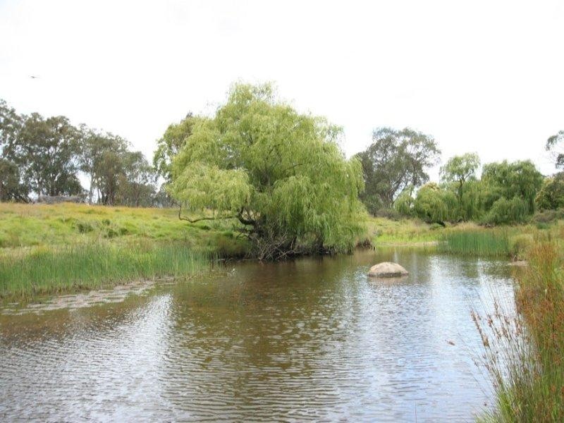 13-43 New England Highway, Tenterfield NSW 2372