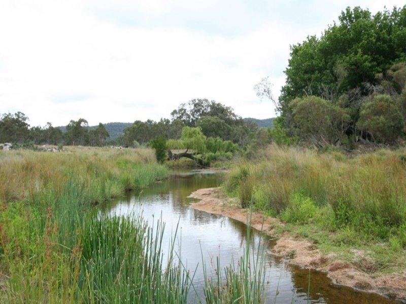 13-43 New England Highway, Tenterfield NSW 2372