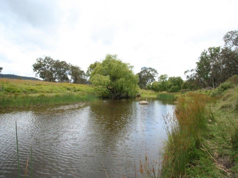 13-43 New England Highway, Tenterfield NSW 2372