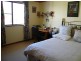 Tenterfield NSW 2372