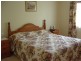 Tenterfield NSW 2372
