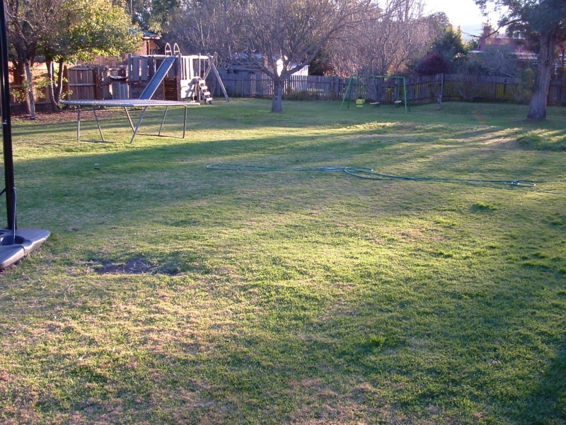 Tenterfield NSW 2372