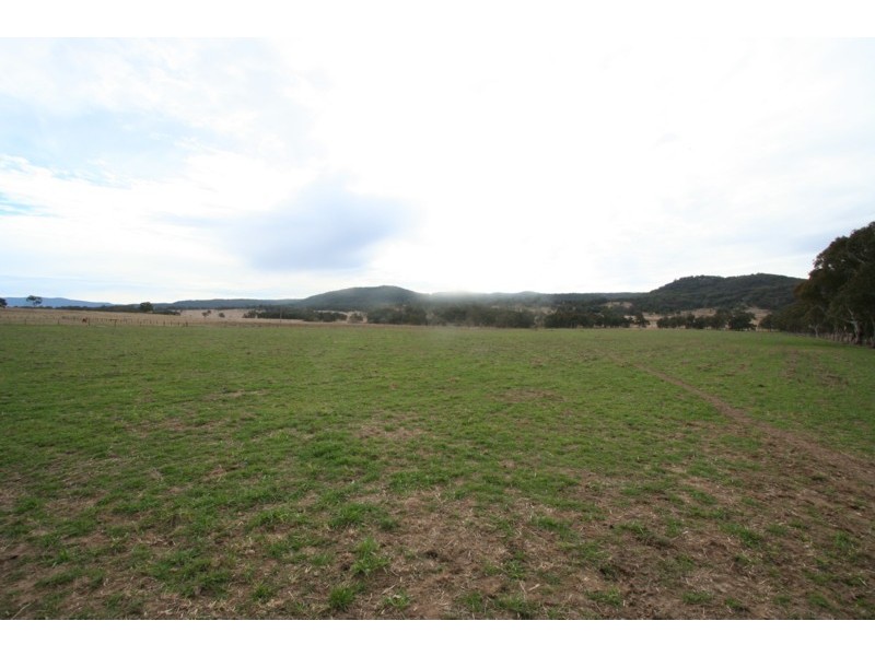 Tenterfield NSW 2372