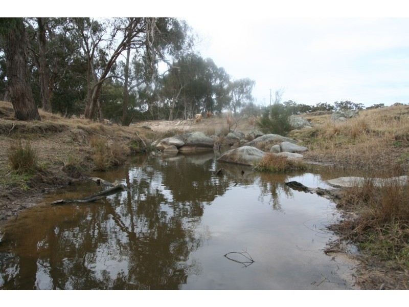 Tenterfield NSW 2372