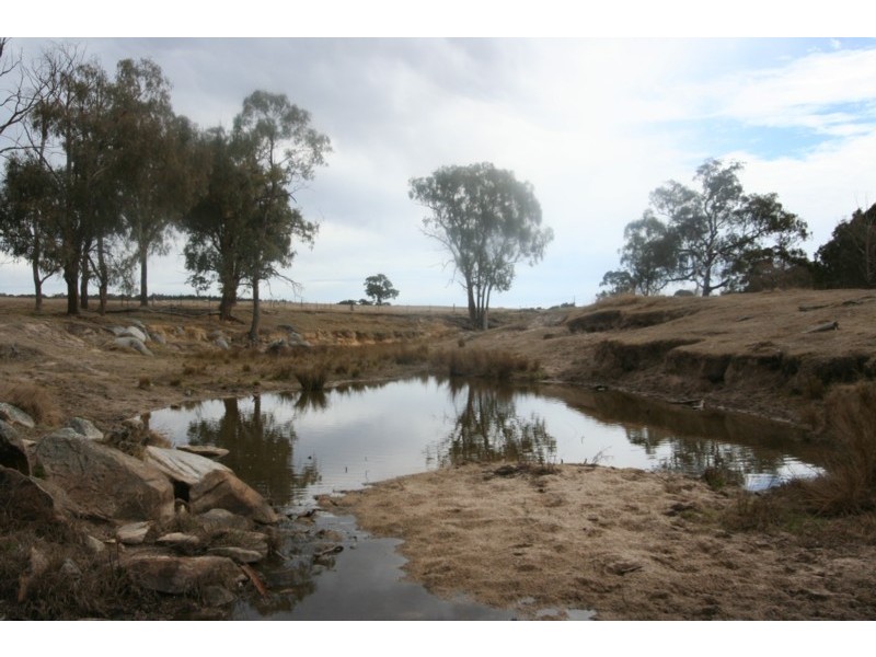 Tenterfield NSW 2372