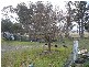 Tenterfield NSW 2372