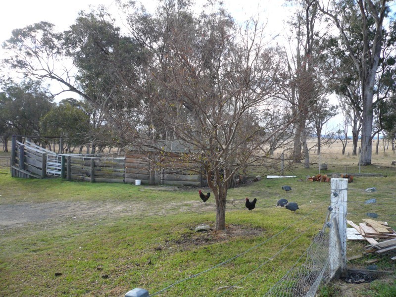 Tenterfield NSW 2372