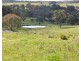 388 Quarry Road, Tenterfield NSW 2372